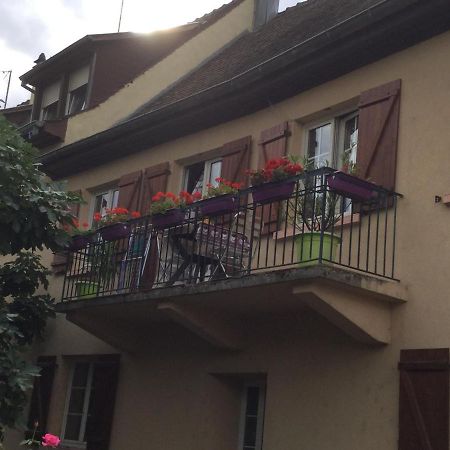 Gite Du Moulin Ingersheim Exterior foto
