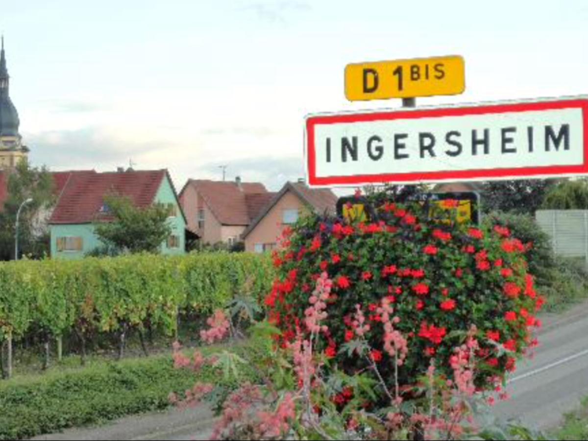 Gite Du Moulin Ingersheim Exterior foto